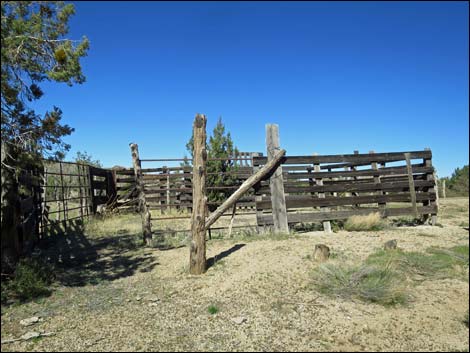 Grapevine Spring Corral