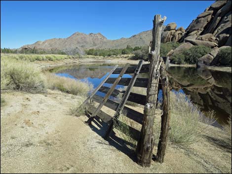 Grapevine Spring Corral