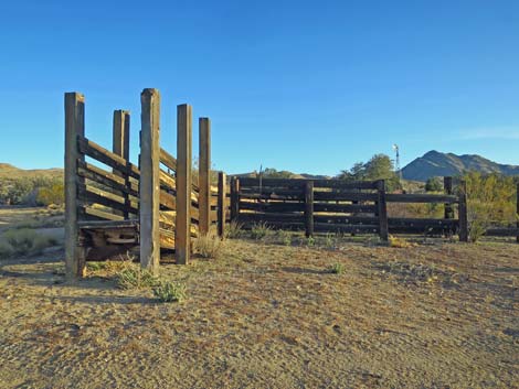 Garden Spring Corral