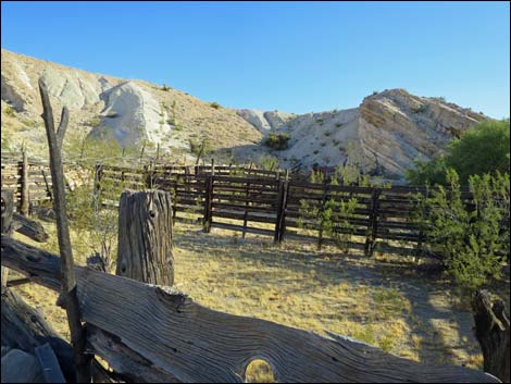 Garden Spring Corral