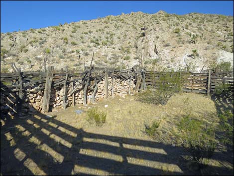 Garden Spring Corral