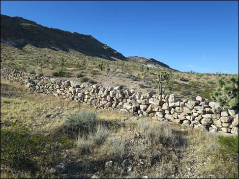 Garden Spring Corral