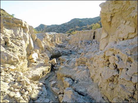 Lakeshore Mine