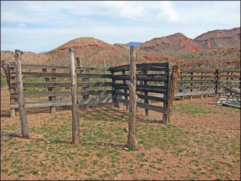 Gold Butte Road Corral