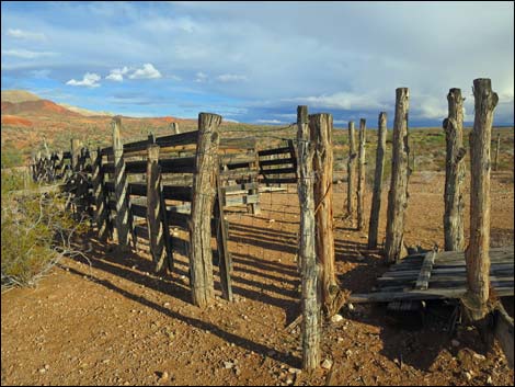 Mud Hills Corral