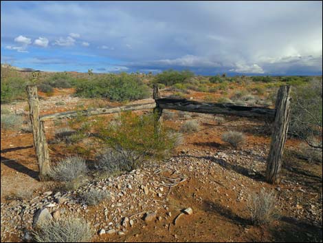 Mud Hills Corral