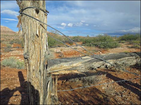 Mud Hills Corral