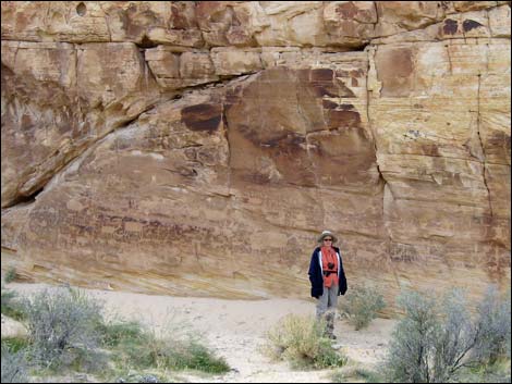 Gold Butte Rock Art