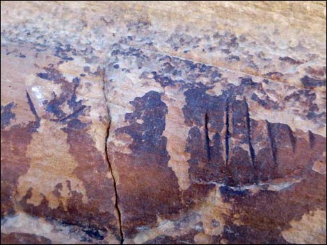 Gold Butte Rock Art