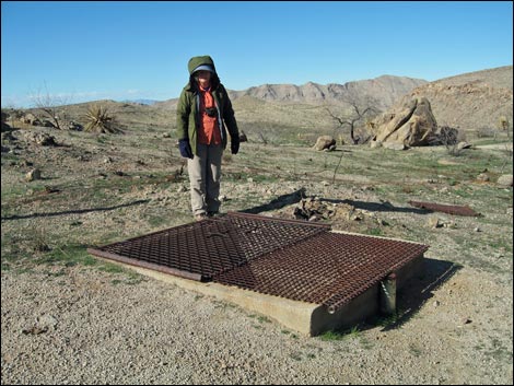 Gold Butte Townsite