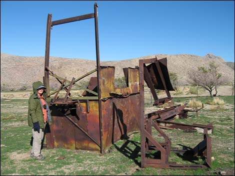 Gold Butte Townsite