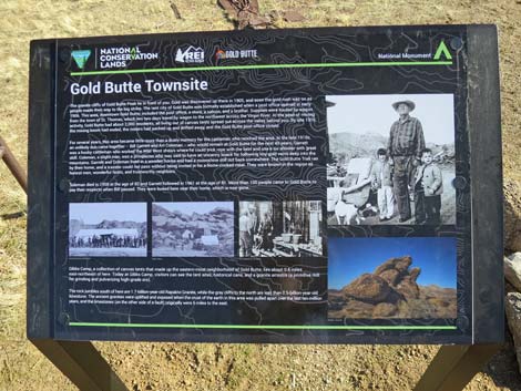 Gold Butte Townsite