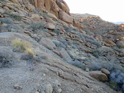 Gold Butte Townsite Upper Mine