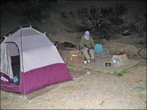 Lower Gold Butte Mine