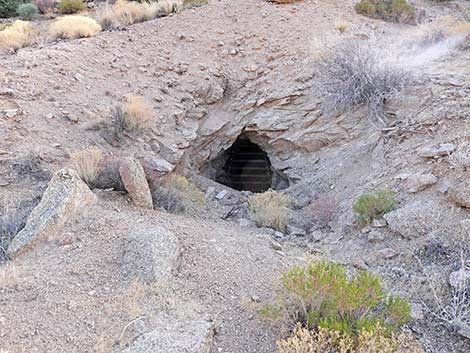 Lower Gold Butte Mine