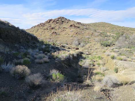 Vermiculite Mine