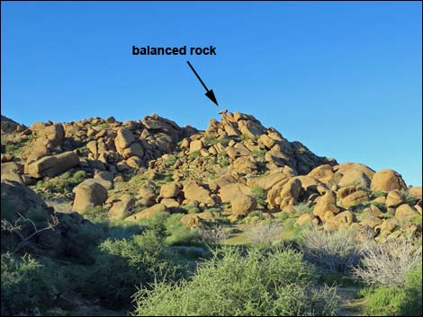 Gold Butte Townsite