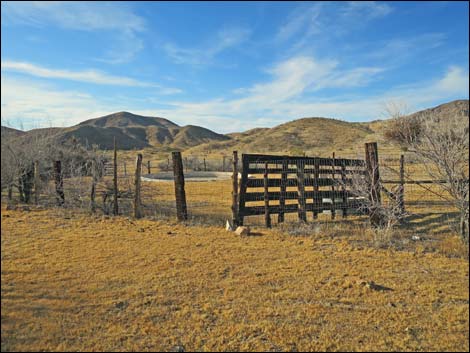 Willow Wash Corral