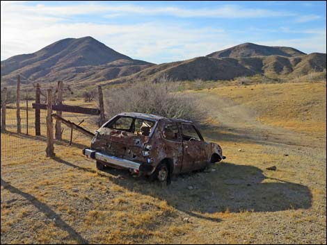 Willow Wash Corral