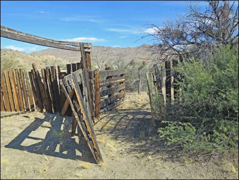 Willow Wash Corral