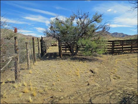 Willow Wash Corral