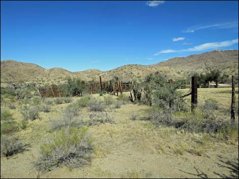 Willow Wash Corral