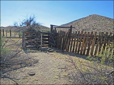 Willow Wash Corral