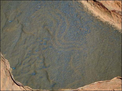 Rock Art Around Gold Butte