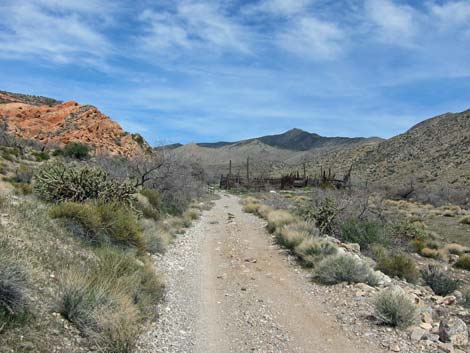 Whitney Wash Loop