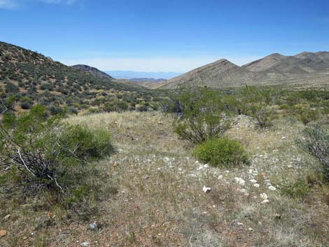 Whitney Wash Loop