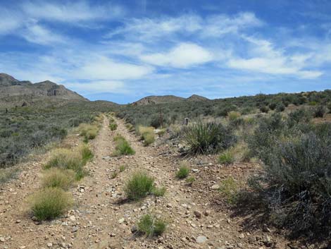 Whitney Wash Loop