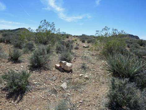 Whitney Wash Loop