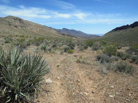 Whitney Wash Loop