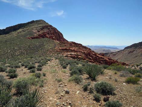 Whitney Wash Loop