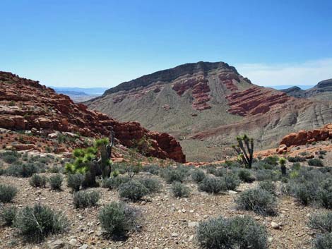 Whitney Wash Loop