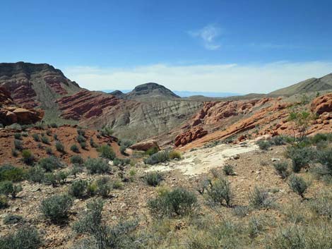 Whitney Wash Loop