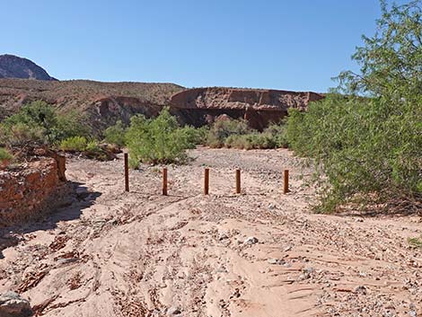 Red Bluff Spring