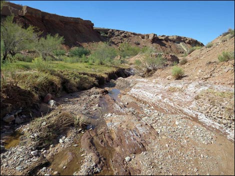 Red Bluff Spring