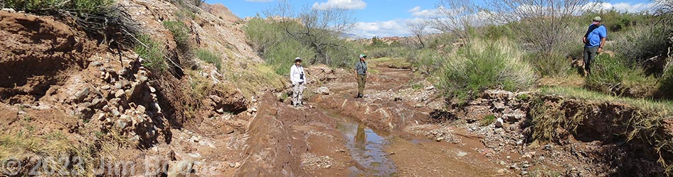 Red Bluff Spring