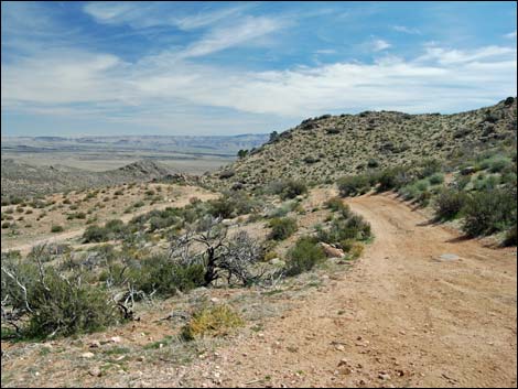 Billy Goat Peak Road