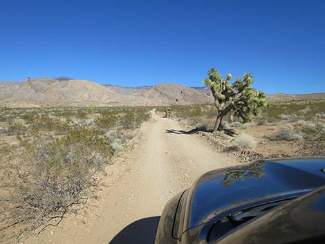 Black Butte Road