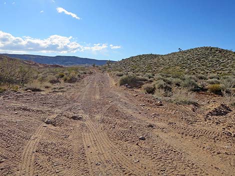 Black Butte Road