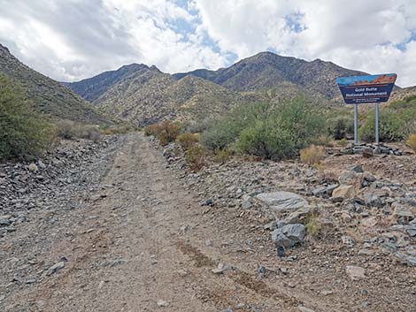 Cabin Canyon Road