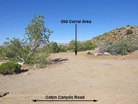 Cabin Canyon Road