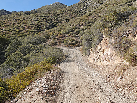 Cabin Canyon Road