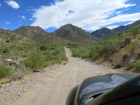 Cabin Canyon Road