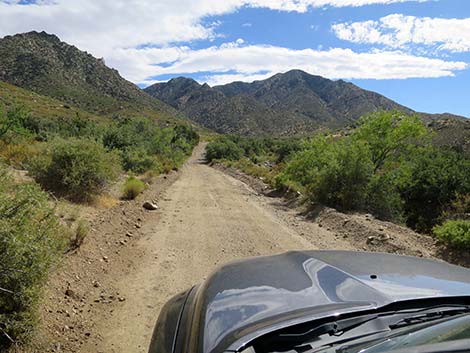 Cabin Canyon Road