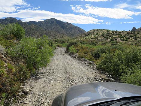 Cabin Canyon Road