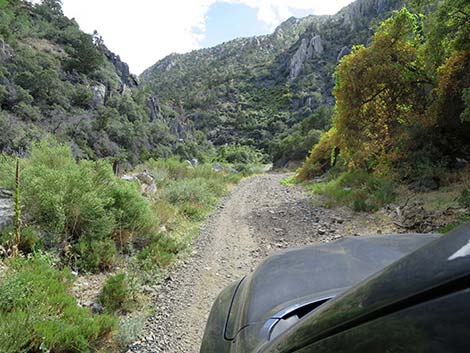 Cabin Canyon Road