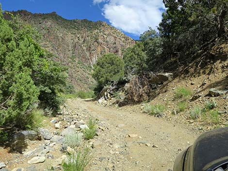 Cabin Canyon Road